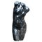 Büste der römischen Venus, Frühes 20. Jh., Schwarzer Marmor 1