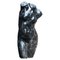 Busto di Venere romana, inizio XX secolo, marmo nero, Immagine 1