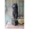 Buste de Vénus Romaine, Début du 20ème Siècle, Marbre Noir 8