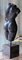 Buste de Vénus Romaine, Début du 20ème Siècle, Marbre Noir 3