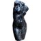 Busto di Venere romana, inizio XX secolo, marmo nero, Immagine 6