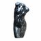Büste der römischen Venus, Frühes 20. Jh., Schwarzer Marmor 7
