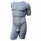 Early 20th Century Torso from the Capitoline Museums in White Carrara Marble 6