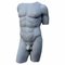 Early 20th Century Torso from the Capitoline Museums in White Carrara Marble, Image 6