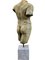 Torso Greco, XIX secolo, Marmo Bianco di Carrara, Immagine 10