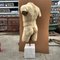 Torso Greco, XIX secolo, Marmo Bianco di Carrara, Immagine 2