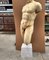 Torso Greco, XIX secolo, Marmo Bianco di Carrara, Immagine 5