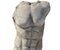 19th Century Carrara Marble Roman Torso 8