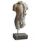 Italienische Skulptur aus Carrara Marmor Torso, Frühes 20. Jh. 1
