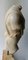 Escultura italiana de principios del siglo XX en el torso de mármol de Carrara, Imagen 5
