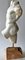 Italienischer Torso aus Carrara Marmor, frühes 20. Jh. 3