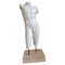 Dorso Masculino Skulptur aus Carrara Marmor, Ende 19. Jh. 1