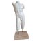 Late 19th Century Dorso Masculino Sculpture in Carrara Marble 1