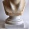 Artista italiano, Busto César, Principios del siglo XX, Mármol de Carrara, Imagen 2
