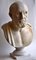 Italian Artist, Hippocrates Bust, Early 20th Century, Carrara Marble 2