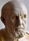 Italienischer Künstler, Hippokrates Büste, Frühes 20. Jh., Carrara Marmor 4