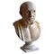 Italian Artist, Hippocrates Bust, Early 20th Century, Carrara Marble, Image 6