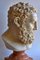 Italienische Skulptur Ercole Kopf aus Marmor 4