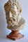 Italienische Skulptur Ercole Kopf aus Marmor 2