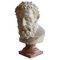 Italienische Skulptur Ercole Kopf aus Marmor 1
