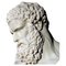 Ercole Farnese, XX secolo, marmo di Carrara, Immagine 6