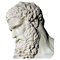 Farnese Hercules, 20. Jh., Carrara Marmor 1