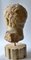 20th Century Italian Sculpture Lisippea Apoxiomenos Head in Marble, Image 5