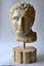 20th Century Italian Sculpture Lisippea Apoxiomenos Head in Marble 4