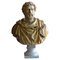End 19th Century Italian Bust Antonino Pio in Carrara Marble 1