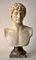 Bust of Antinous, White Carrara Marble, Early 20th Century, Image 9