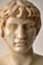 Bust of Antinous, White Carrara Marble, Early 20th Century 6
