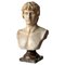 Bust of Antinous, White Carrara Marble, Early 20th Century 1