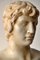 Busto de Antínoo, mármol de Carrara blanco, de principios del siglo XX, Imagen 5