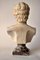 Busto de Antínoo, mármol de Carrara blanco, de principios del siglo XX, Imagen 4