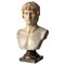Bust of Antinous, White Carrara Marble, Early 20th Century, Image 10