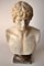 Bust of Antinous, White Carrara Marble, Early 20th Century, Image 3