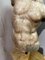 20th Century Roman Torsoin Carrara Marble, Image 3