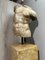 20th Century Roman Torsoin Carrara Marble, Image 6