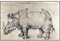 Albrecht Durer, Rinocerontes, siglo XX, Terracota. Juego de 2, Imagen 3