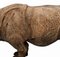 20° secolo Il rinoceronte indiano in terracotta della Toscana dell'Assam, Immagine 3