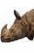 20ème Siècle Le Rhinocéros en Terre Cuite de Toscane, Inde d'Assam 4