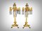 19th Century Bronze and Crystal Candelabra: Gilded Elegance and Wheel-Cut Crysta, 1880s 2