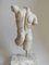 Italienischer Vintage Torso aus Carrara Marmor, 1950 3