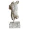 Vintage Italian Torso in Carrara Marble, 1950, Image 1