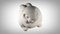 Weiße Marmorskulptur eines Hasen, 1840er 9