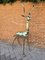 Antilope a grandezza naturale, anni '50, scultura in bronzo lucido, Immagine 3