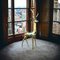 Antilope a grandezza naturale, anni '50, scultura in bronzo lucido, Immagine 19