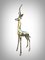 Antilope a grandezza naturale, anni '50, scultura in bronzo lucido, Immagine 16