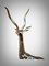 Antilope a grandezza naturale, anni '50, scultura in bronzo lucido, Immagine 7