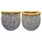 Anduze Majolica Pots, Cévennes, France, Early 20th Century, Set of 2 1